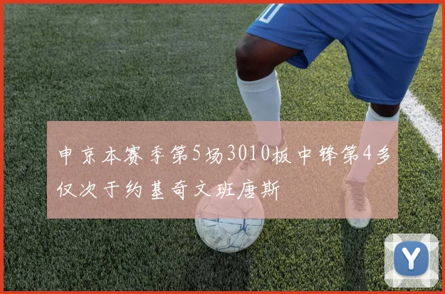 申京本赛季第5场3010板中锋第4多仅次于约基奇文班唐斯